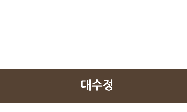 대수정